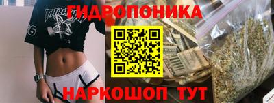 амф Новозыбков