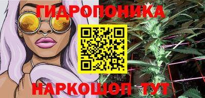 тгк Новокубанск