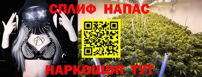 тгк Новокубанск