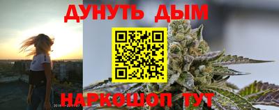 амф Новозыбков