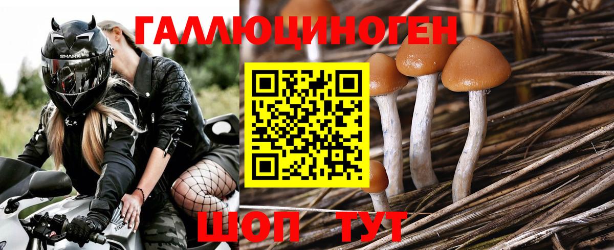 Галлюциногенные грибы мицелий  Вход с VPN  Одинцово  Псилоцибиновые грибы Cubensis 